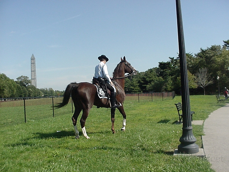 Police On A Horse.jpg